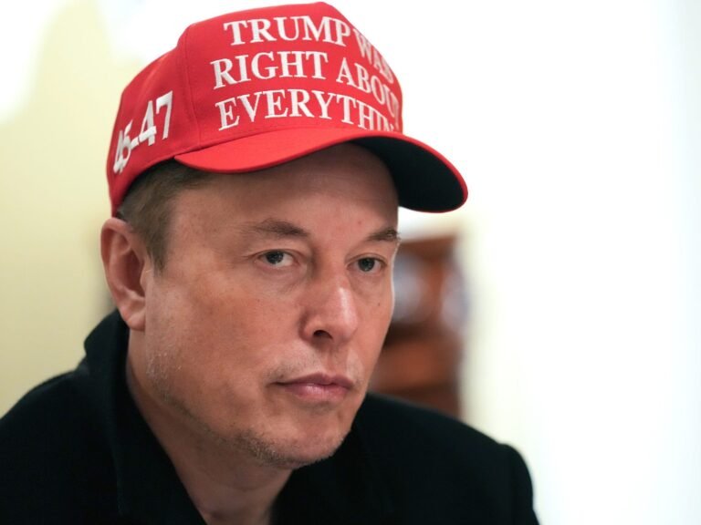 Elon Musk's zero-tariff proposal with Europe is a sign of weakness and fear, German economy minister says