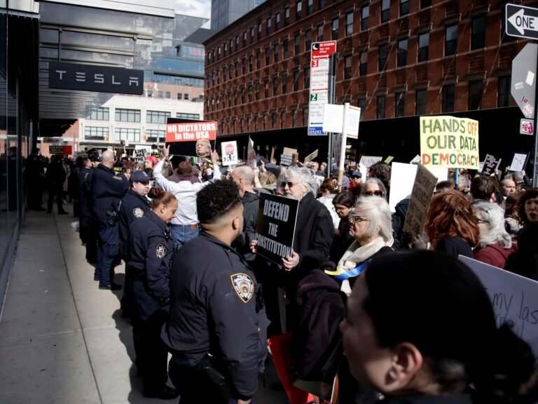 Honk if you hate Elon: how protesters are jumping on Tesla's biggest weakness