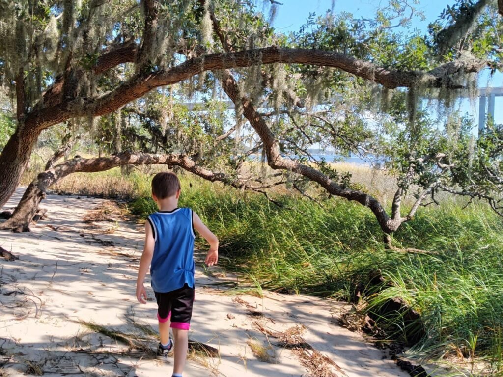 We moved to Charleston after falling in love with the city on vacation. Our family is thriving here years later.