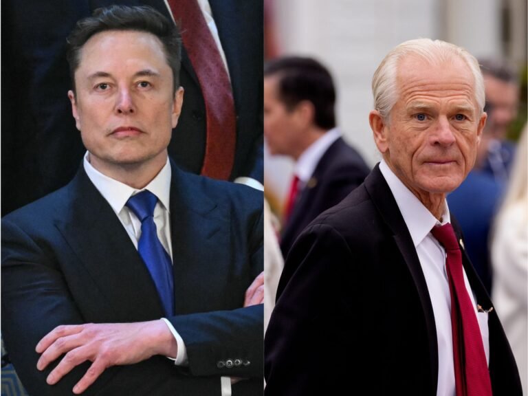 White House responds to Musk-Navarro feud: 'Boys will be boys'