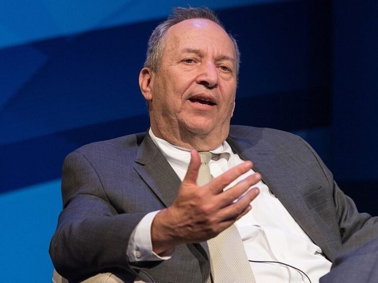 Larry Summers says DOGE is going to end in a 'disastrous failure'