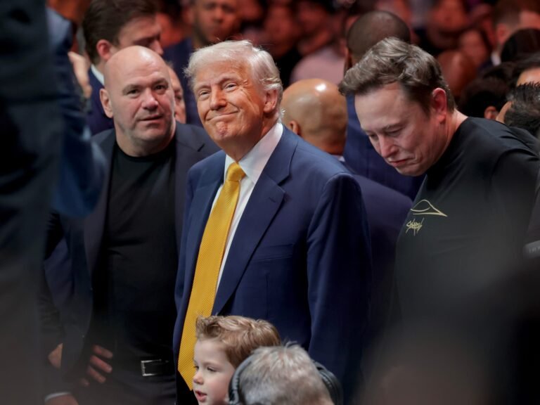 Trump delights in rapturous welcome at UFC 314: 'It says we're doing a good job'