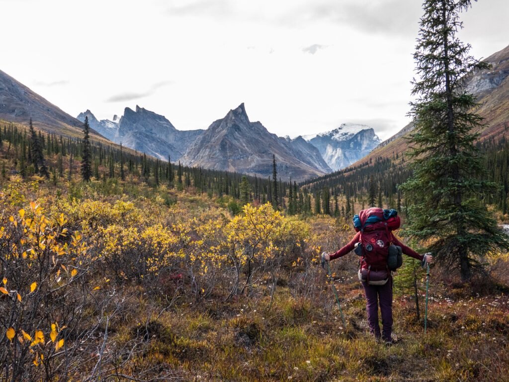I've been to all 63 national parks. These 4 are my favorites — but these 3 didn't impress me much.