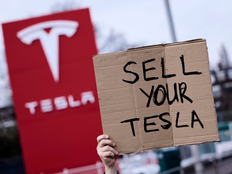 4 Tesla owners share what it's like owning the EV among Musk backlash and protests