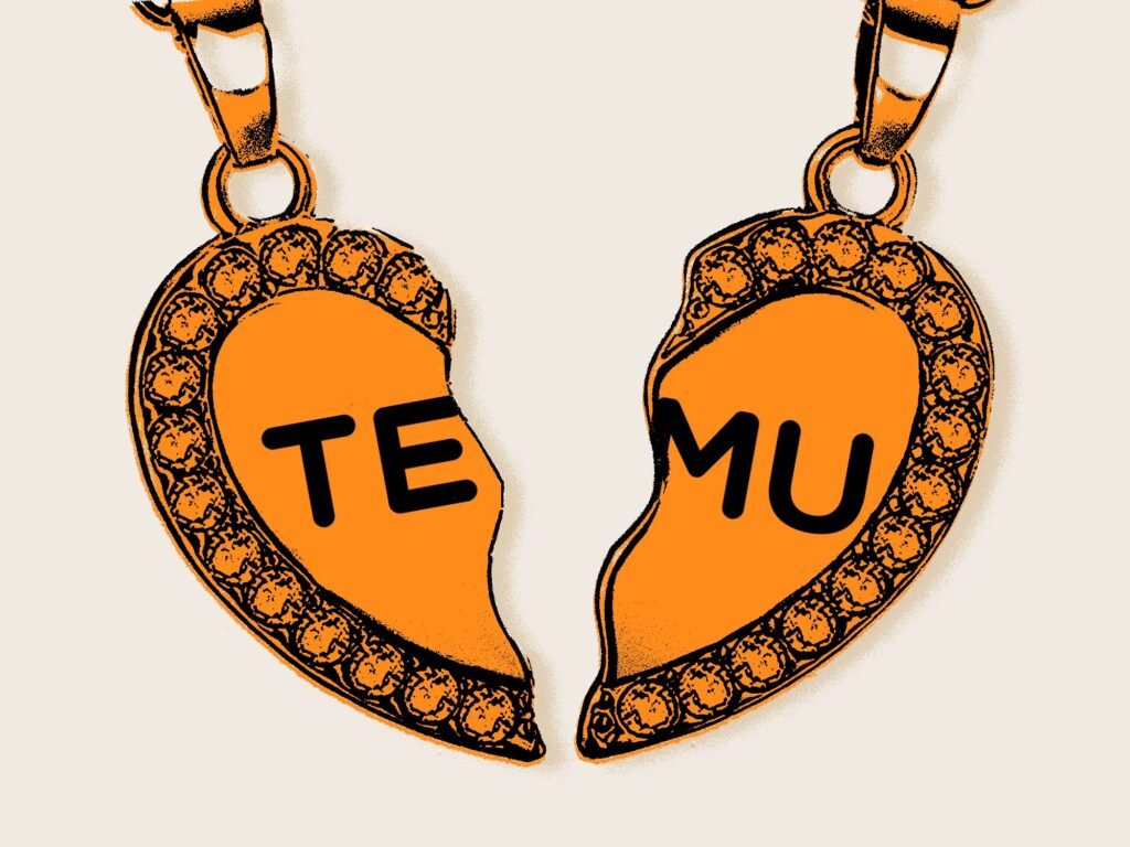 My Temu order safely arrived — with no extra tariff fees. But you might not be so lucky.