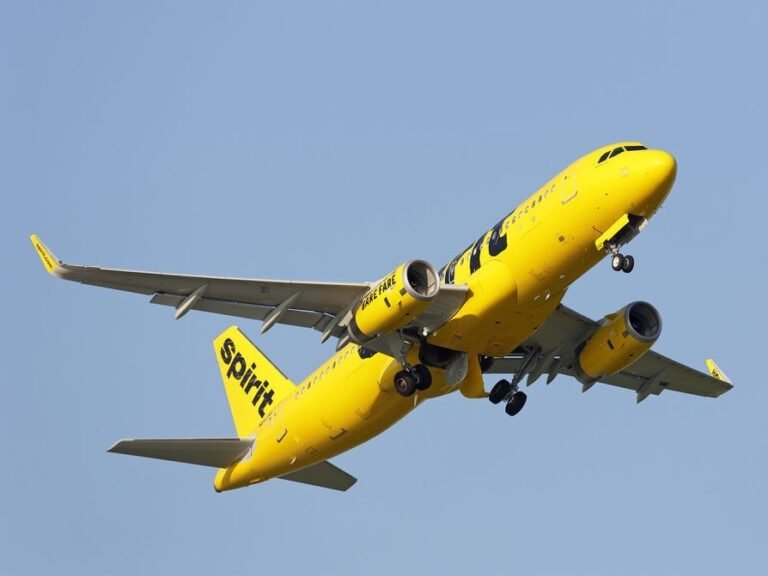 Ranked: The 10 best airlines in the US in 2025