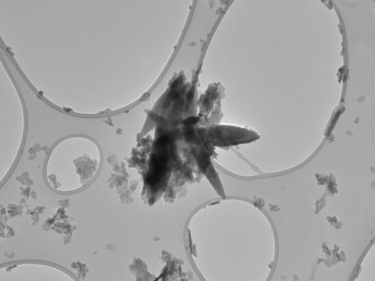 Stroke patients have high levels of microplastics in the plaque clogging their arteries, researchers find