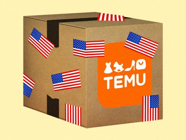 I placed my first Temu order since Trump's tariffs. Maybe this is going to work after all.