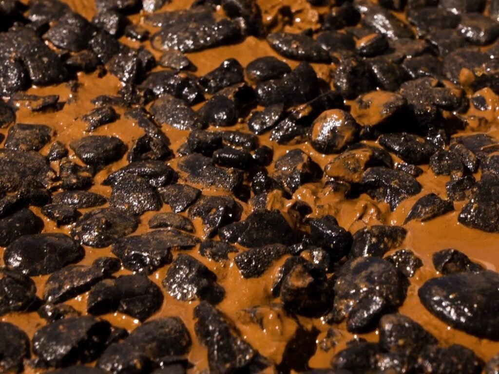 Companies use Trump's executive order as a loophole to fast-track commercial seafloor mining