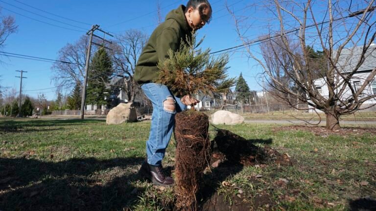 Earth Day 2025: Detroit plants sequoias to clean the air—and save the trees
