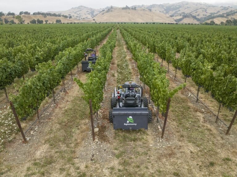 Guest article: Farming is no longer ‘old-school.’ It’s the ultimate testbed for AI innovation.