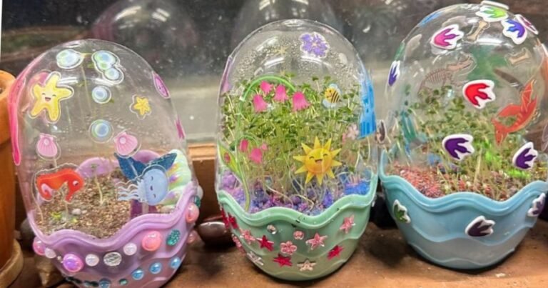 Magic Mini Grow Gardens from $5.49 on Amazon (Reg. $11) | Great Screen-Free Activity