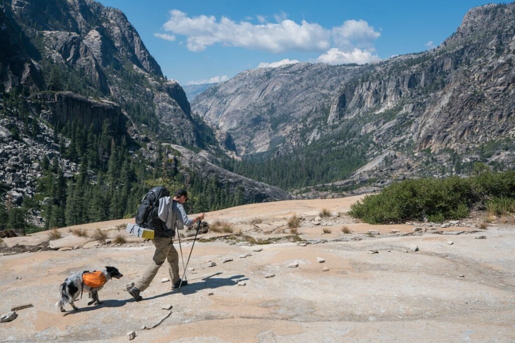 15 Trail-Tested Tips for Backpacking With a Dog (What I’ve Learned)