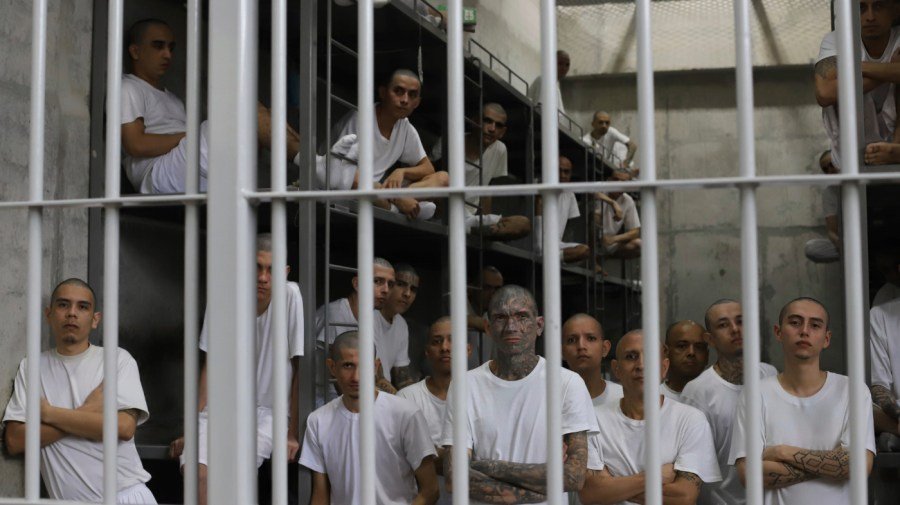 Most Americans oppose deporting migrants to El Salvador without due process: Survey
