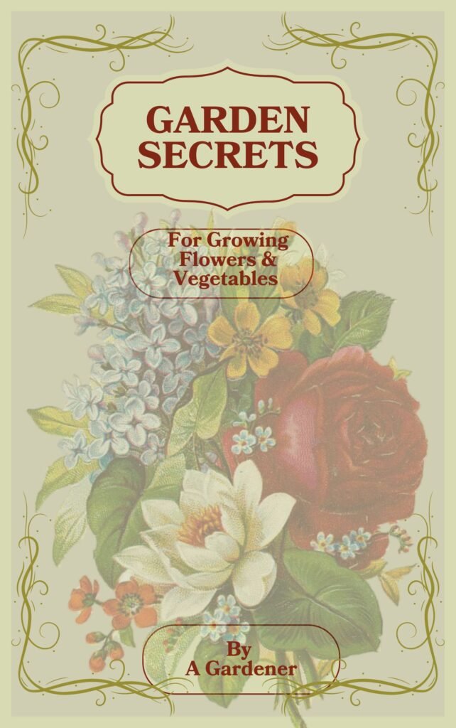 Mysterious Flower Announcement