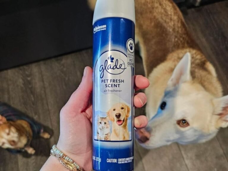 Glade Air Freshener Room Spray 2-Pack Only $2.75 Shipped on Amazon (Reg. $5)