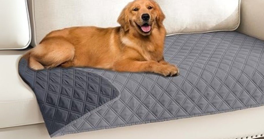 Waterproof Dog Blanket Just $6 on Amazon (Regularly $19)