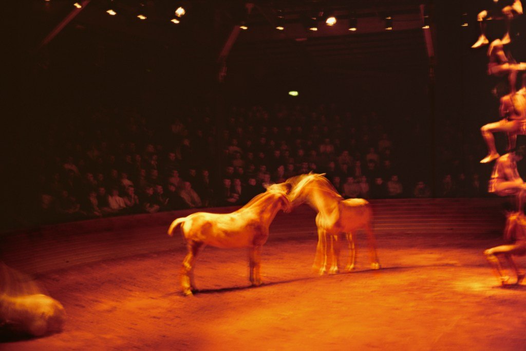 Nan Goldin Sells Prints to Benefit Gaza Animal Hospital