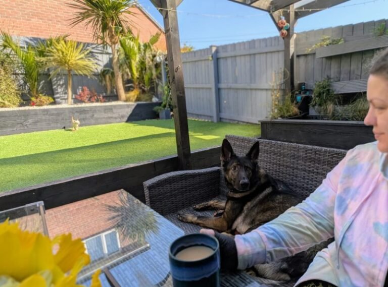 The Velcro Dog Experience: Life with Kodah the Shadow