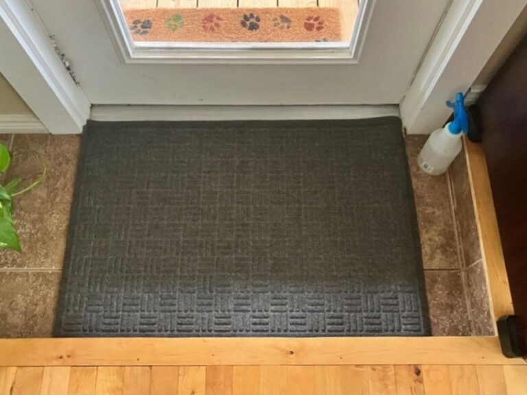 Amazon Non-Slip Indoor/Outdoor Doormat Just $6.99