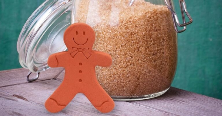 Brown Sugar Keeper Only $3.49 on Amazon (Keeps Sugar Fresh for Months!)