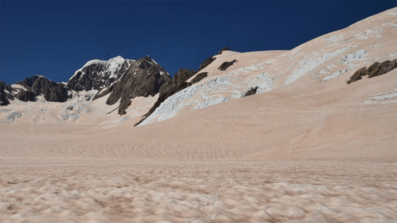 Why the Southern Alps Turned Red During the Summer of 2019-2020