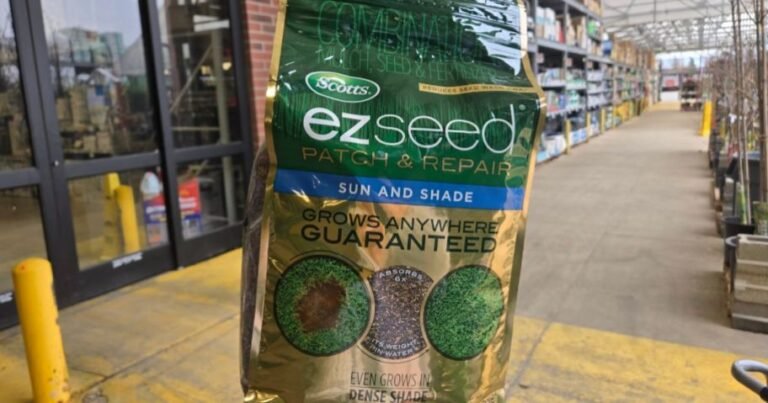 Scotts EZ Seed Grass Seed 10lb Bag Only $22.49 at Lowe’s (Reg $45)