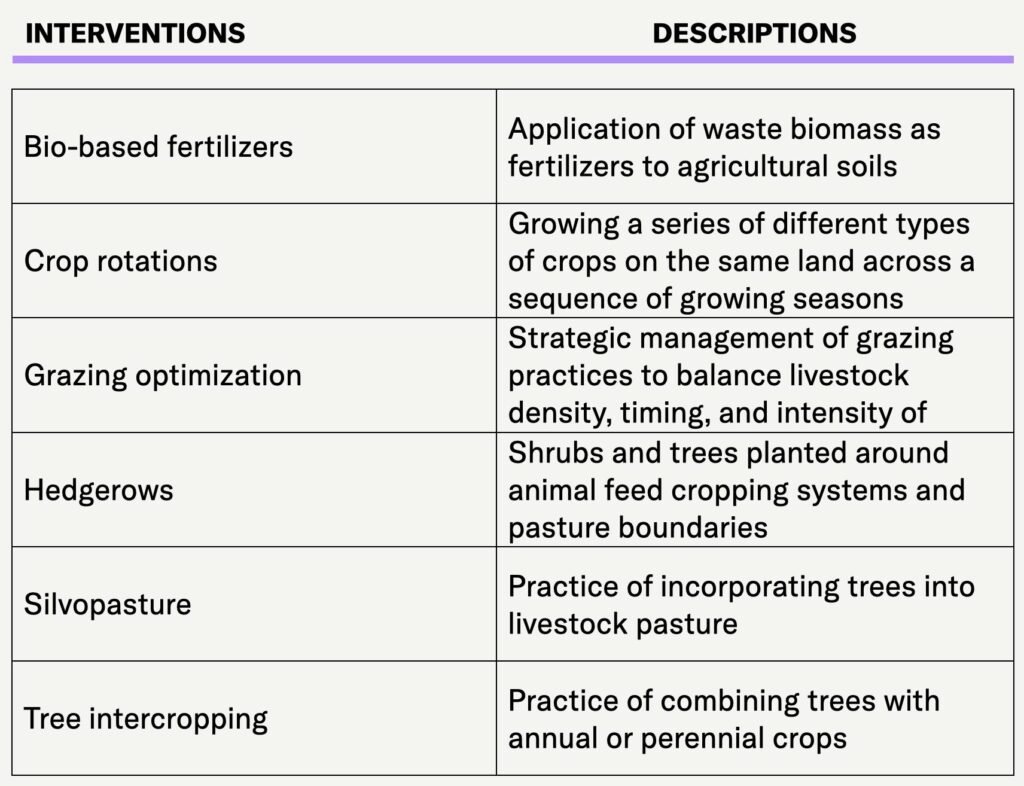 Guest article: Why agriculture needs a nature-based revolution beyond technology
