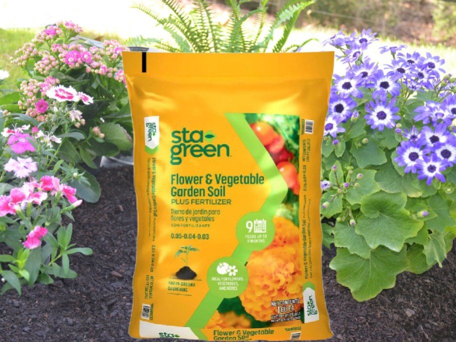 Sta-Green Garden Soil Just $2.24 at Lowe’s | 100K Purchased Last Week!