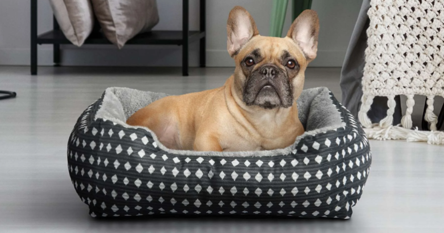 Vibrant Life Pet Beds from $6.97 on Walmart.com (Regularly $15)