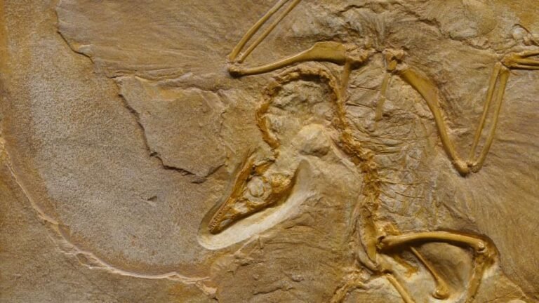 [2025] 140 Free Online Courses on Evolutionary Science