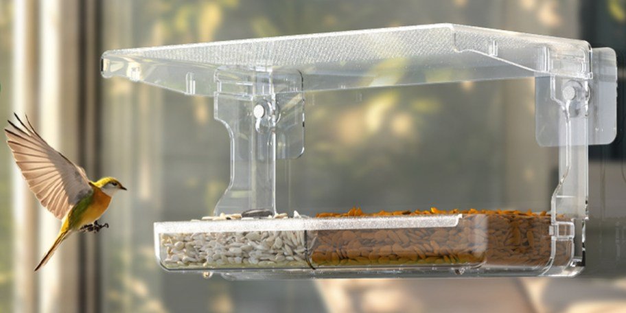 Window Bird Feeder Only $5.49 Shipped for Amazon Prime Members (Reg. $12)