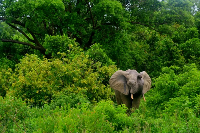 Dig deeper into culture-packed West Africa