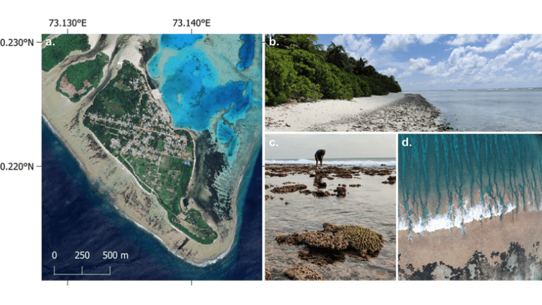 Coastal Models Quantify How Natural Islands Respond to Sea Level Rise