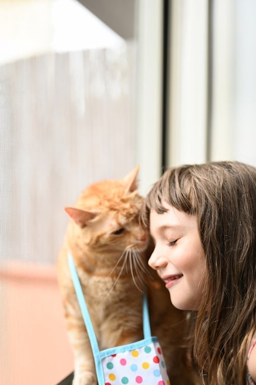 Why Does My Cat Rub Their Teeth Against Me? It's Actually So Sweet