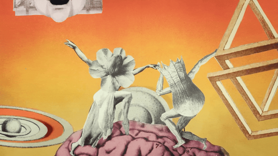 A Bizarre Animated Music Video for Foxwarren Compels Us to Listen