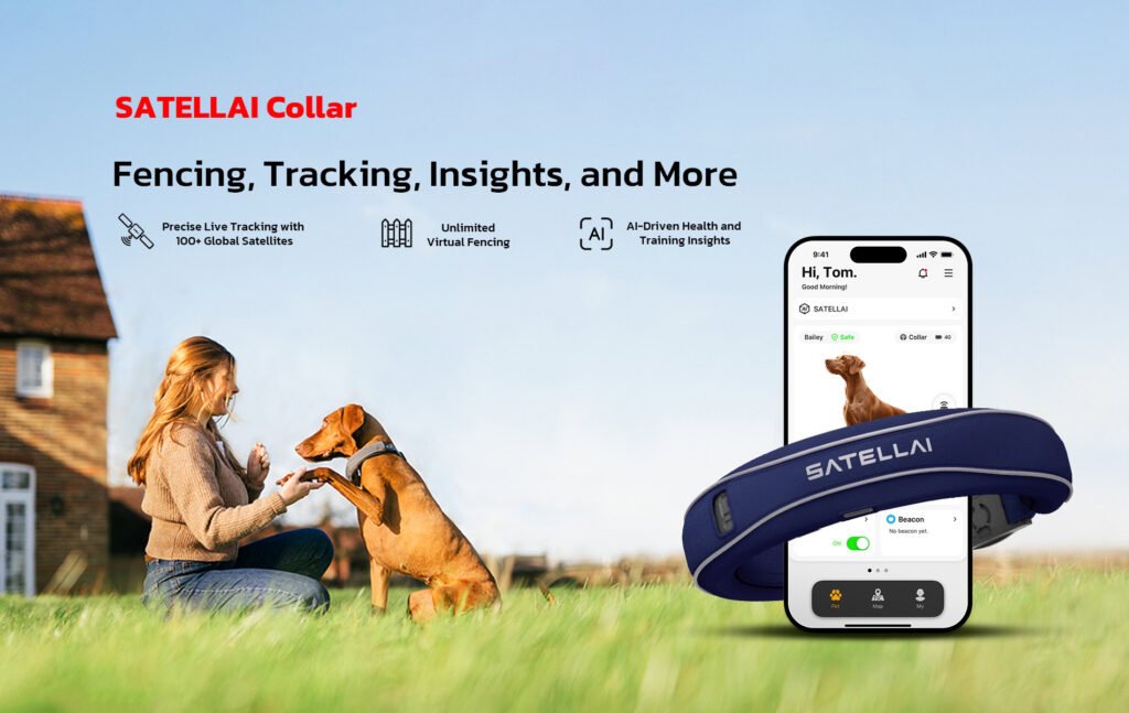 SATELLAI launches their debut product, SATELLAI Collar