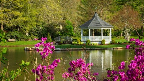 Need A Weekend Getaway? We Love Blowing Rock, North Carolina, For A Family Trip