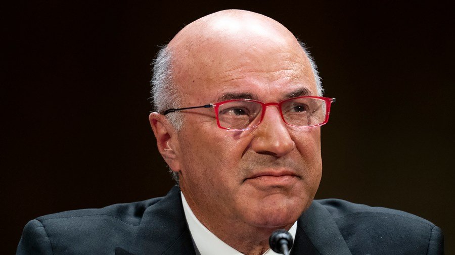 O'Leary on Trump tariffs: US must train China 'like a puppy'