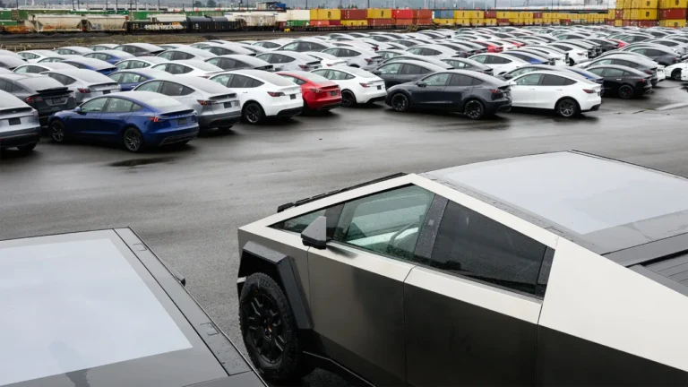 TSLA rollercoaster ride: Tesla sees largest-ever drop in vehicle deliveries, but report says Musk could leave DOGE