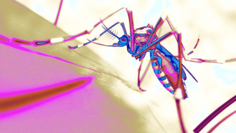 Trump slashed health funding—right as a deadly mosquito-borne disease is spreading in the U.S.