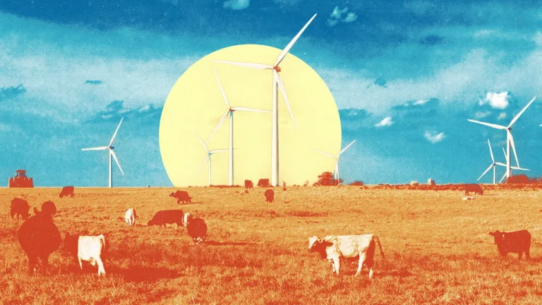 Why wind power is still booming in the U.S.—despite Trump’s hatred