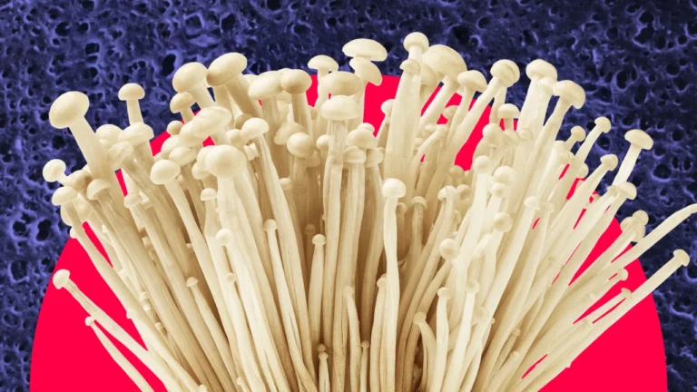 Mushrooms sold at retailers nationwide are being recalled due to Listeria contamination fears