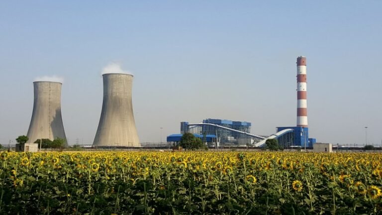 Emissions from Coal-Fired Power Plants May Lower Crop Yields in India