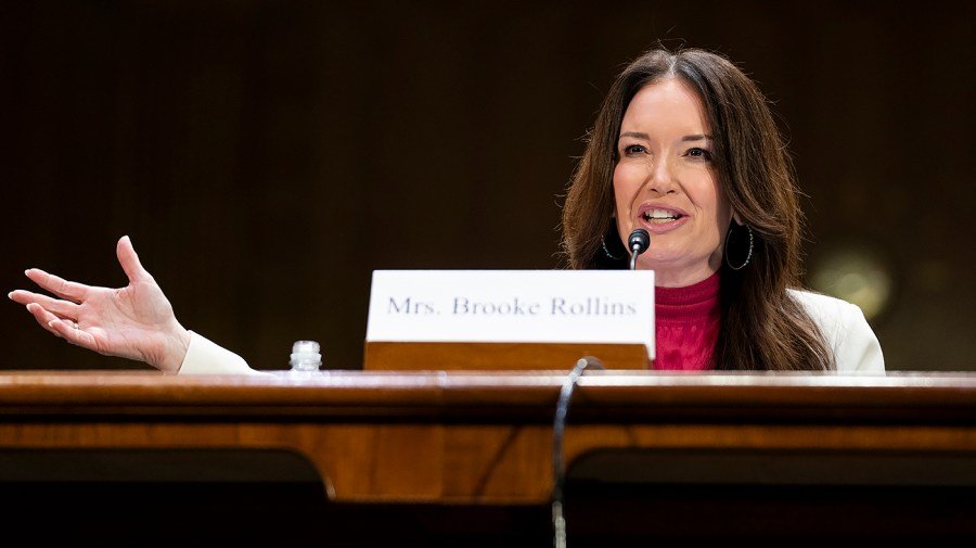 Rollins rejects EU concerns over US hormones in pork: 'Absolute bull'