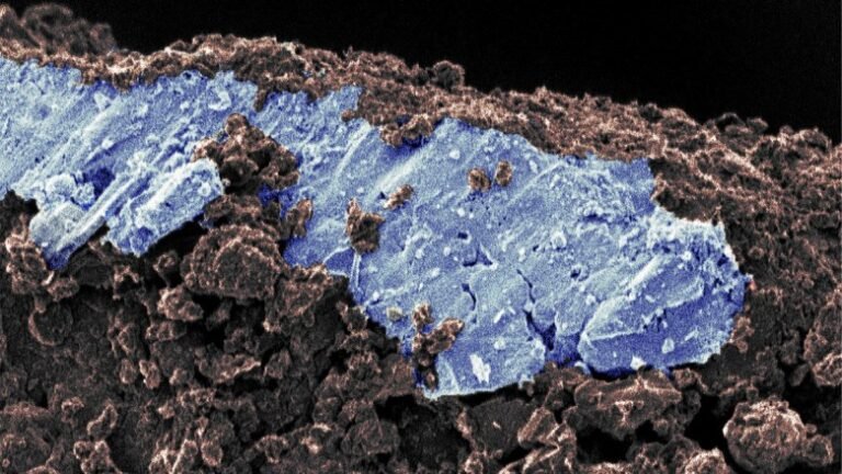 Asteroid Samples Suggest a Solar System of Ancient, Salty Incubators