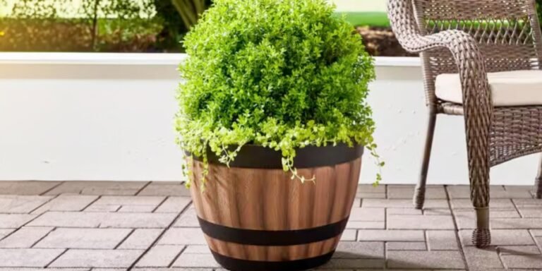 *HOT* Wine Barrel Planters ONLY $8.48 Each + Free Shipping on HomeDepot.com