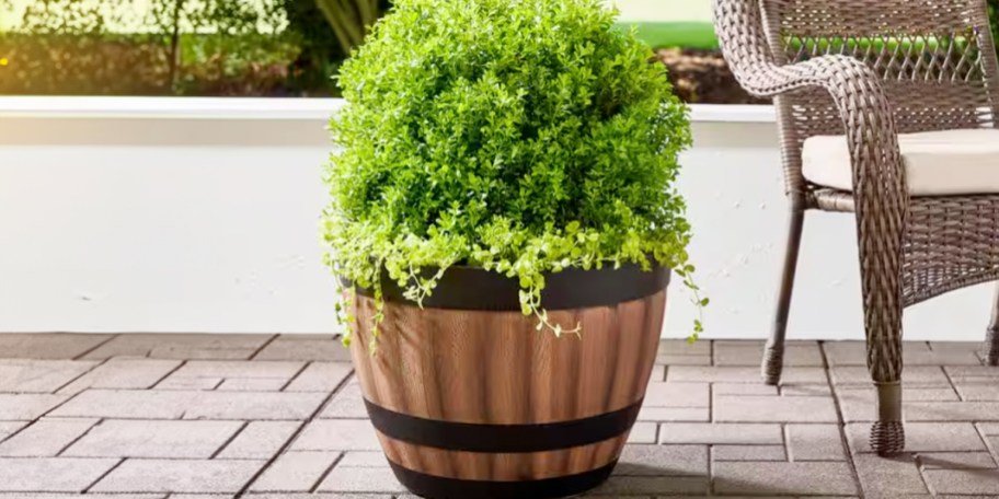 *HOT* Wine Barrel Planters ONLY $8.48 Each + Free Shipping on HomeDepot.com