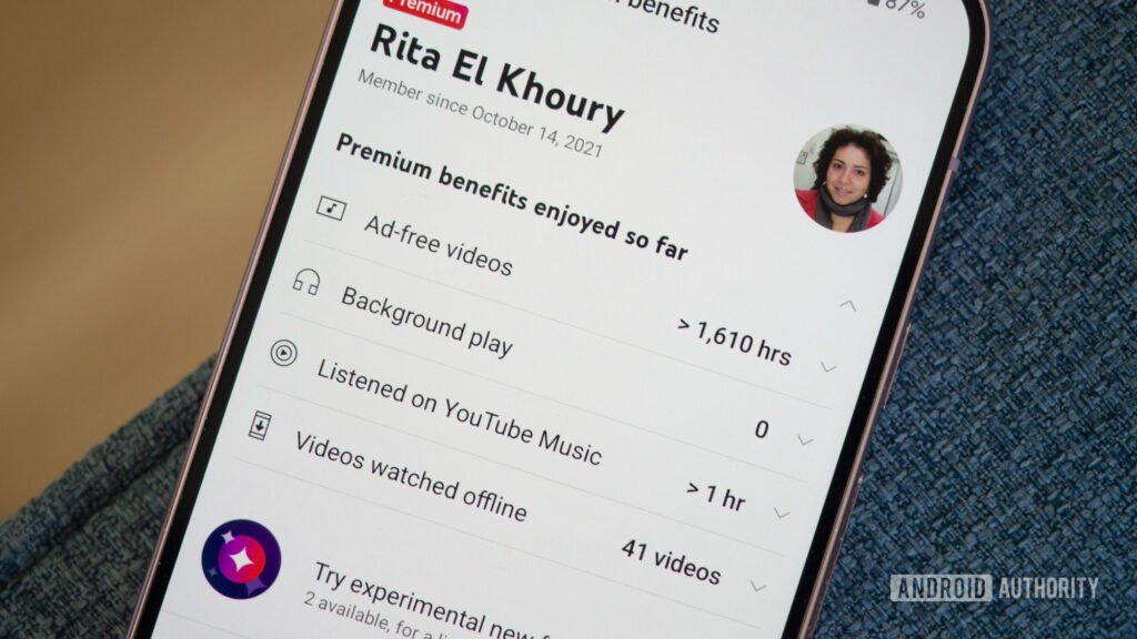 As a YouTube Premium subscriber, this is the only new feature I want