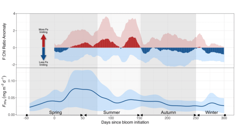 Seasonal Iron Cycle and Production in the Subantarctic Southern Ocean